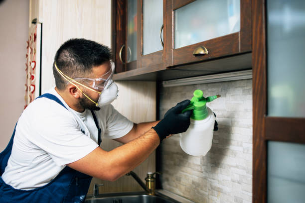 Best Pest Prevention Services  in New Milford, NJ