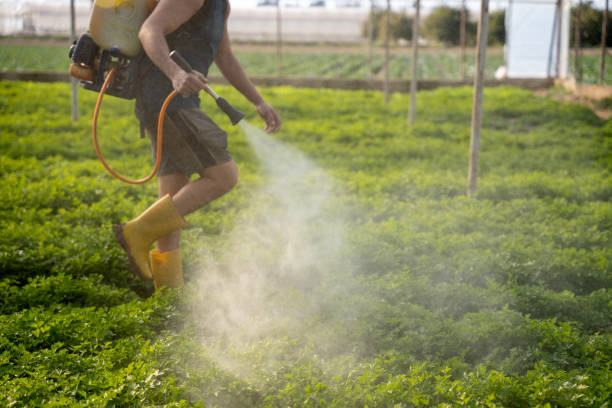 Best Ant Control Services  in New Milford, NJ