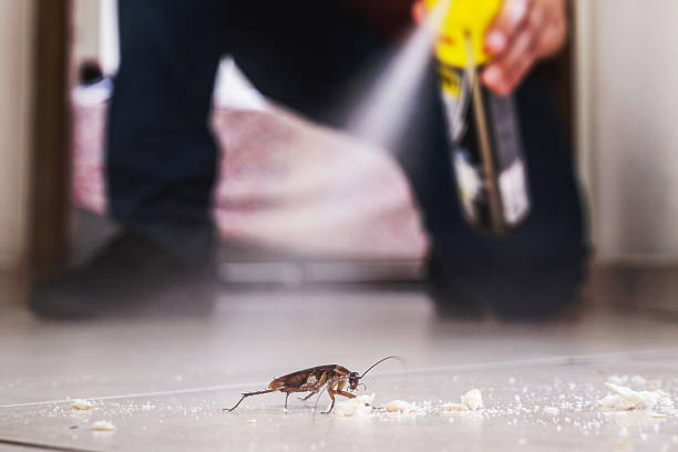 New Milford, NJ Pest Control Company